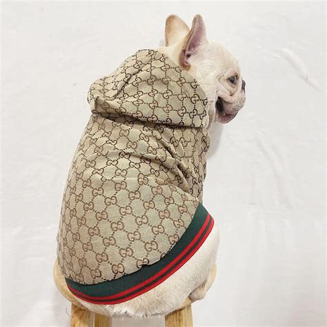 designer dog coats gucci.